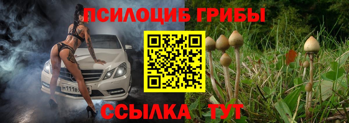 Галлюциногенные грибы GOLDEN TEACHER Тобольск